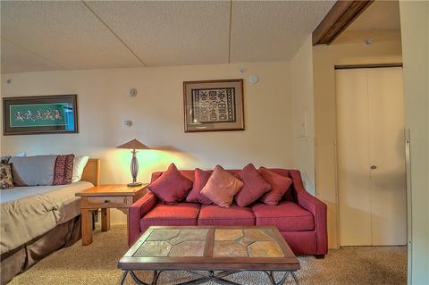 209 Ten Mile Cir #508, Copper Mountain, CO 80443 photo 4