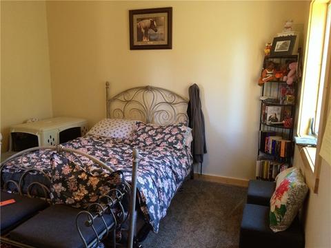 156 Piaute Way, Como, CO 80432 photo 15
