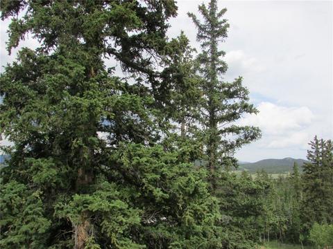 156 Wikiup Cir, Como, CO 80432 photo 7