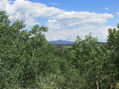 156 Wikiup Cir, Como, CO 80432 photo 2