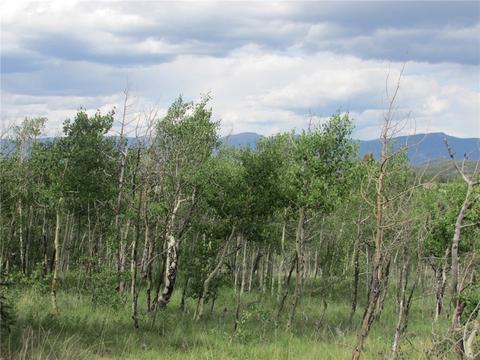 156 Wikiup Cir, Como, CO 80432 photo 11