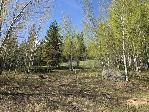 2300 Golden Eagle Rd, Silverthorne, CO 80498 photo 3