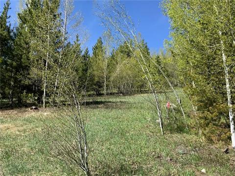 2300 Golden Eagle Rd, Silverthorne, CO 80498 photo 7