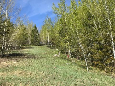 2300 Golden Eagle Rd, Silverthorne, CO 80498 photo 12