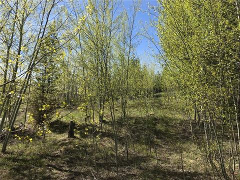 2300 Golden Eagle Rd, Silverthorne, CO 80498 photo 11