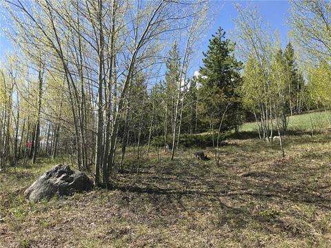 2300 Golden Eagle Rd, Silverthorne, CO 80498 photo 8
