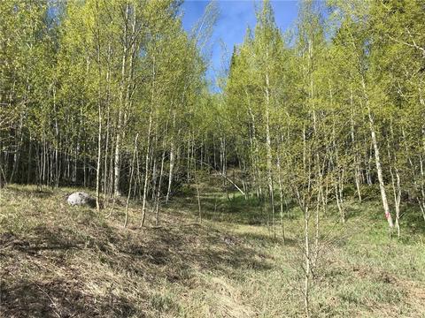 2300 Golden Eagle Rd, Silverthorne, CO 80498 photo 10