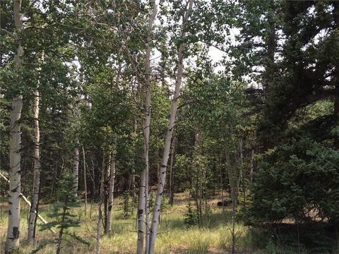 142 Spearpoint Rd, Como, CO 80432 photo 3