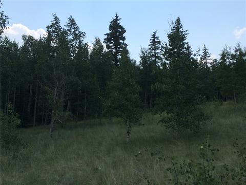 142 Spearpoint Rd, Como, CO 80432 photo 8