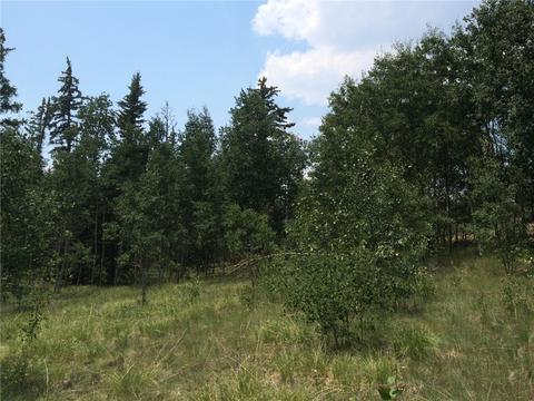 142 Spearpoint Rd, Como, CO 80432 photo 6