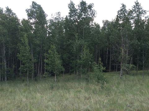 142 Spearpoint Rd, Como, CO 80432 photo 9
