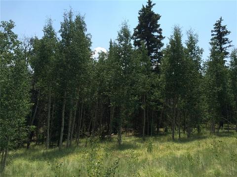 142 Spearpoint Rd, Como, CO 80432 photo 2
