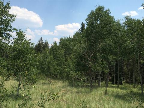 142 Spearpoint Rd, Como, CO 80432 photo 4