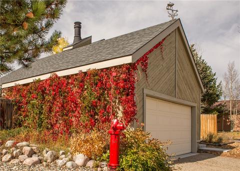 1641 N Badger Ln, Silverthorne, CO 80498 photo 16