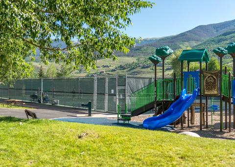 1641 N Badger Ln, Silverthorne, CO 80498 photo 20