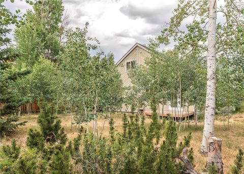 1641 N Badger Ln, Silverthorne, CO 80498 photo 18