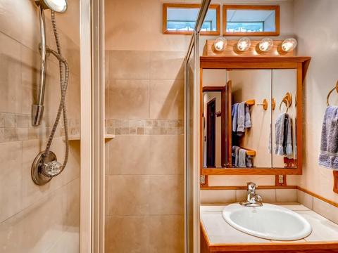 253 E Coyote Ct, Silverthorne, CO 80498 photo 22