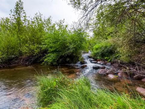 253 E Coyote Ct, Silverthorne, CO 80498 photo 25