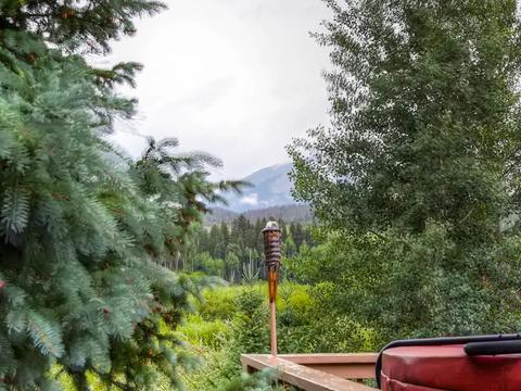 253 E Coyote Ct, Silverthorne, CO 80498 photo 24