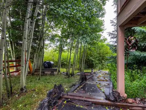 253 E Coyote Ct, Silverthorne, CO 80498 photo 15