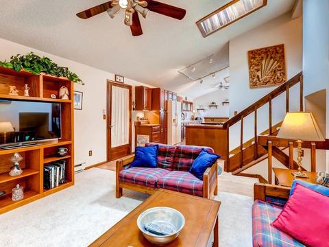 253 E Coyote Ct, Silverthorne, CO 80498 photo 3