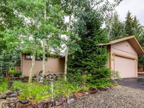 253 E Coyote Ct, Silverthorne, CO 80498 photo 1