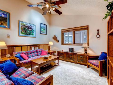 253 E Coyote Ct, Silverthorne, CO 80498 photo 4