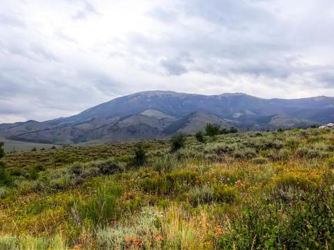 437 Rodeo Dr, Silverthorne, CO 80498 photo 25
