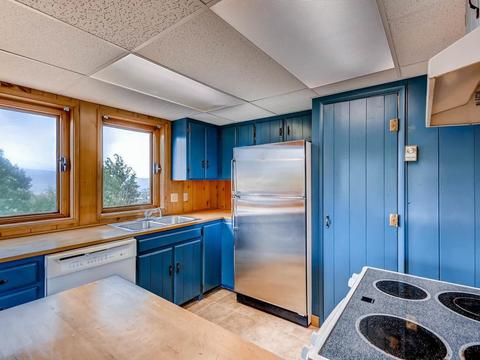 437 Rodeo Dr, Silverthorne, CO 80498 photo 6