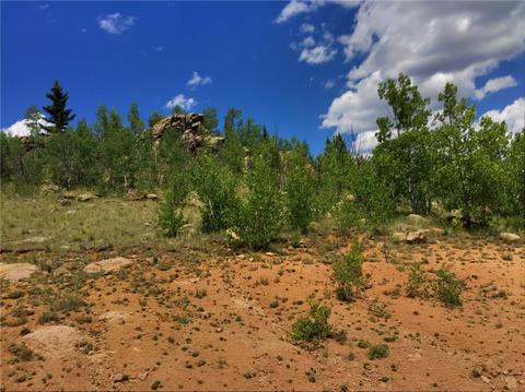 1076 Swiggler Rd, Como, CO 80432 photo 5