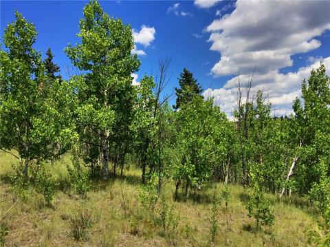 1076 Swiggler Rd, Como, CO 80432 photo 3