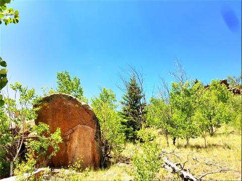 1076 Swiggler Rd, Como, CO 80432 photo 2