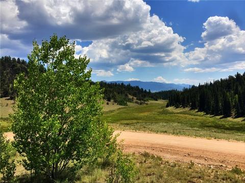 1076 Swiggler Rd, Como, CO 80432 photo 1