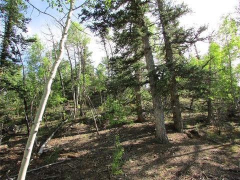 549 Mockingbird Cir, Como, CO 80432 photo 11