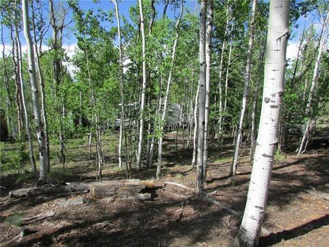 549 Mockingbird Cir, Como, CO 80432 photo 5