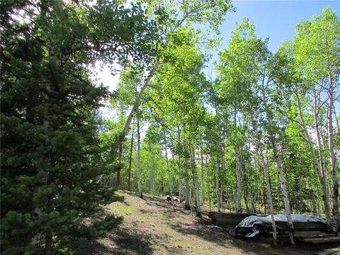 549 Mockingbird Cir, Como, CO 80432 photo 2