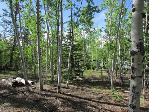549 Mockingbird Cir, Como, CO 80432 photo 9