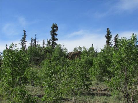 549 Mockingbird Cir, Como, CO 80432 photo 6