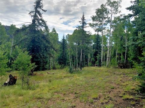 247 Kiowa St, Como, CO 80432 photo 19