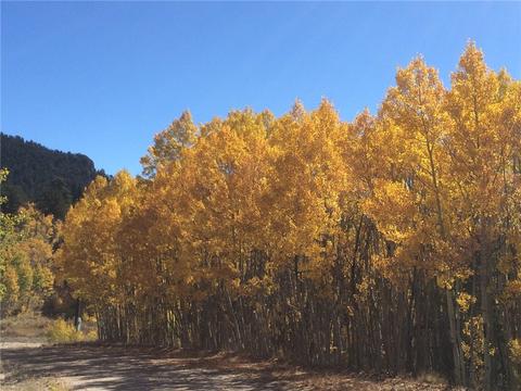 247 Kiowa St, Como, CO 80432 photo 2