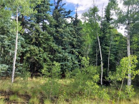 247 Kiowa St, Como, CO 80432 photo 15