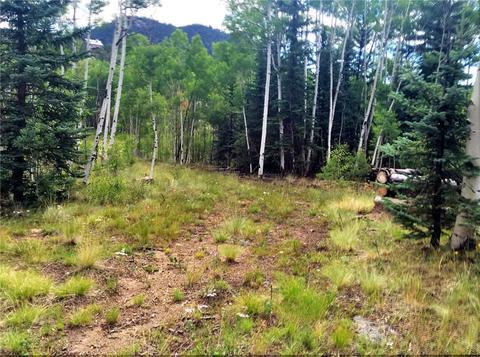 247 Kiowa St, Como, CO 80432 photo 20