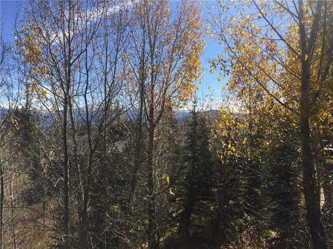 83 Bashore Ct, Silverthorne, CO 80498 photo 13