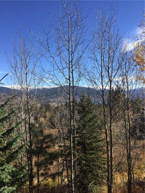 83 Bashore Ct, Silverthorne, CO 80498 photo 12