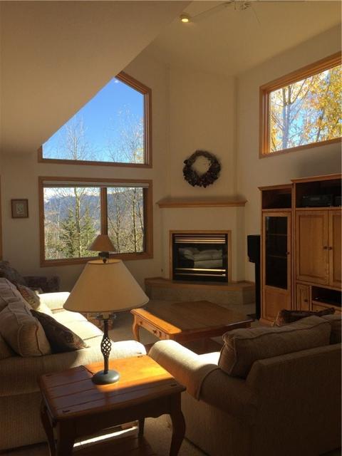 83 Bashore Ct, Silverthorne, CO 80498 photo 9