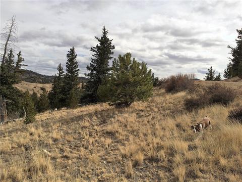 230 Arland Rd, Como, CO 80432 photo 14