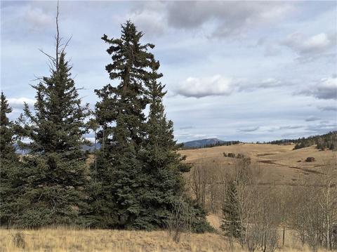 77 War Ct, Como, CO 80432 photo 11