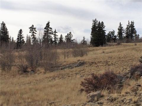 77 War Ct, Como, CO 80432 photo 10