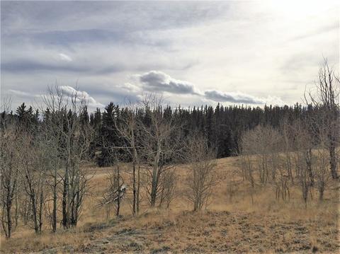 77 War Ct, Como, CO 80432 photo 14