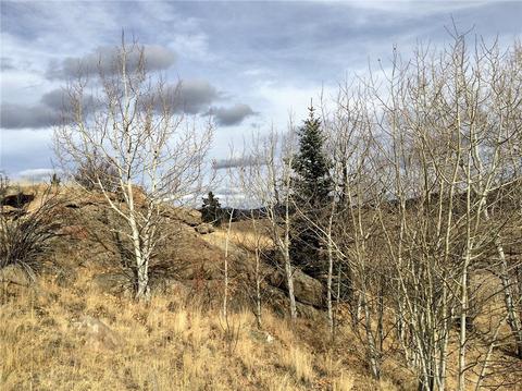 77 War Ct, Como, CO 80432 photo 2